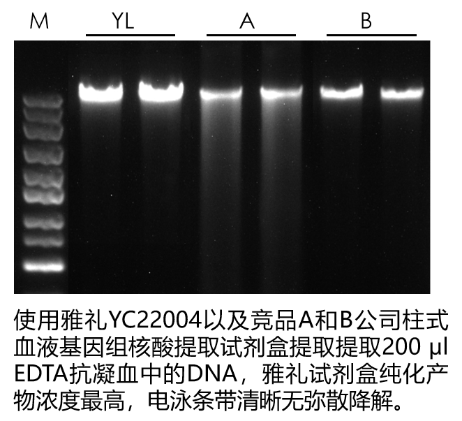 Blood Genomic DNA-case 2