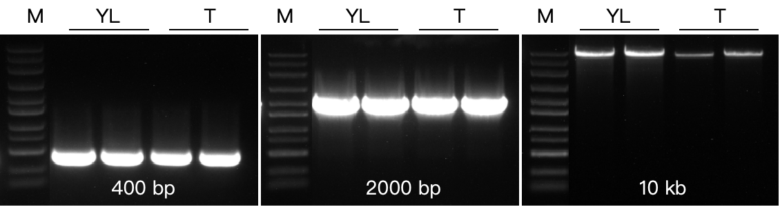 YC48001-雅礼生物胶回收高纯度高产量