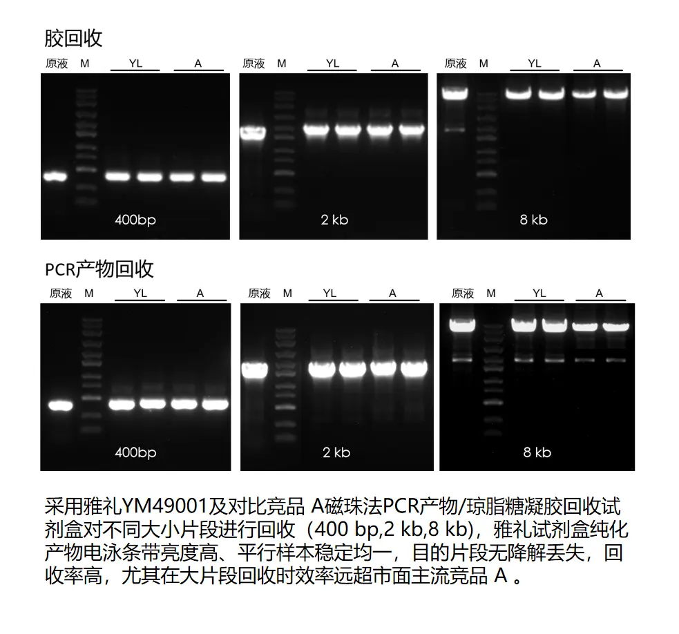 YM49001-磁珠法胶回收