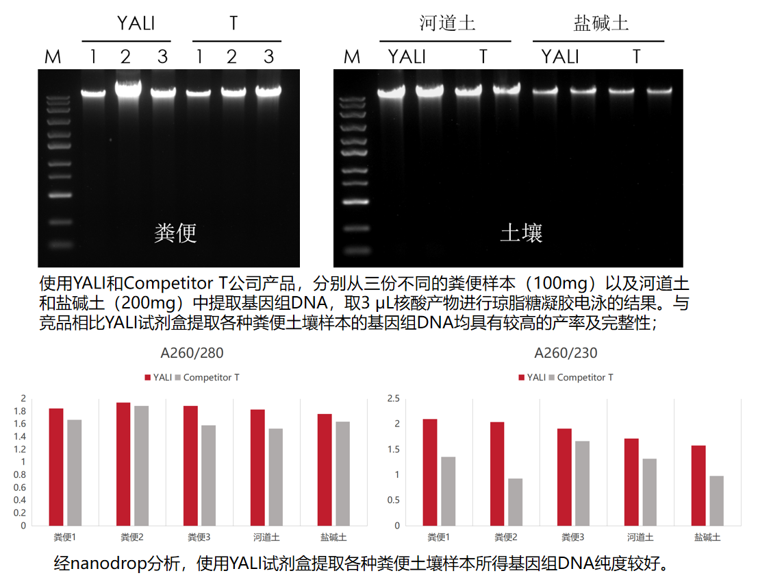 雅禮生物磁珠法糞便DNA提取試劑盒在提取土壤和糞便時,產(chǎn)物DNA均比競品的濃度和純度表現(xiàn)優(yōu)秀。
