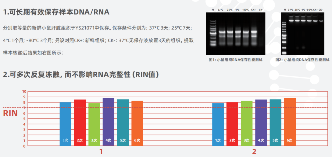 组织样本RNA保存-实验案例