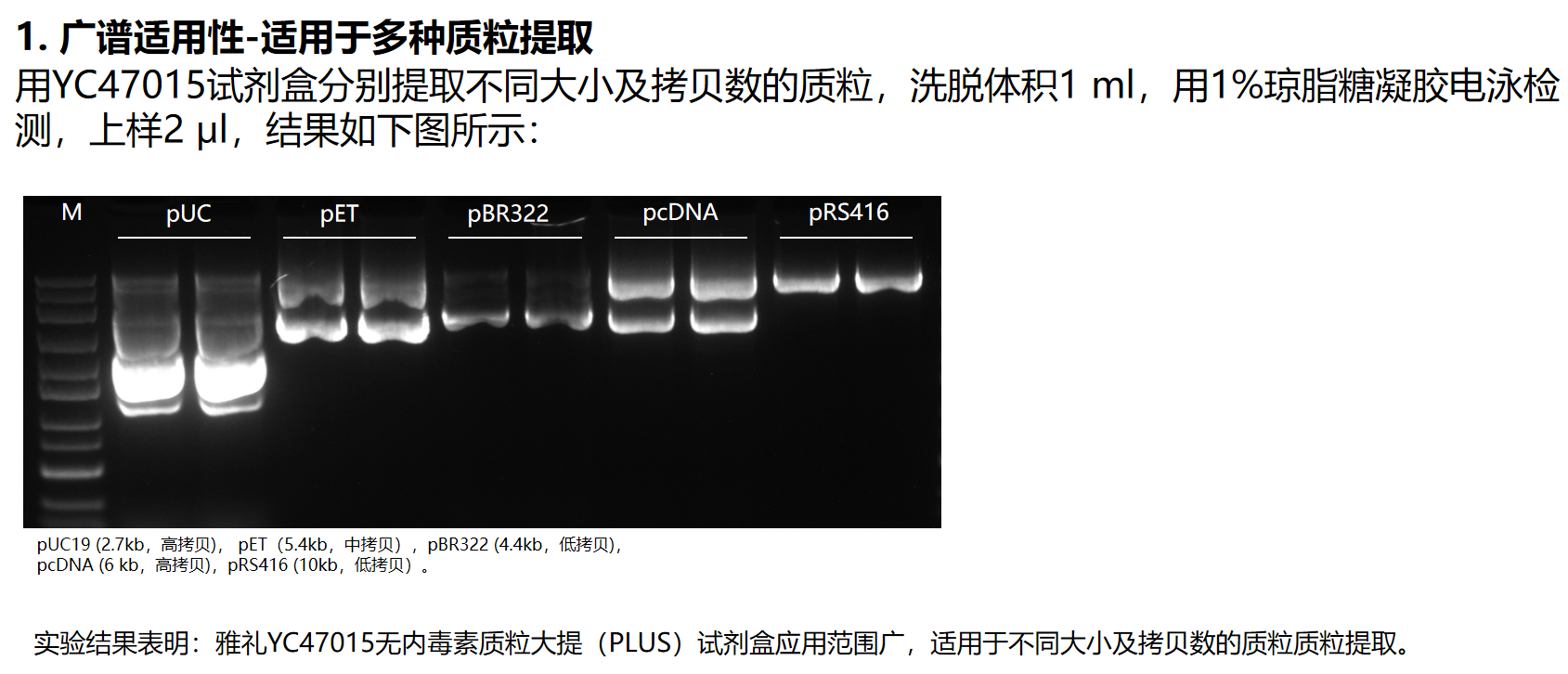 YC47015可提取不同质粒
