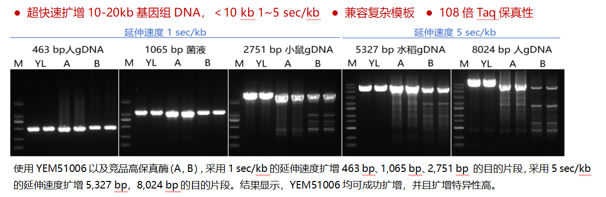 YEM51006性能优异
