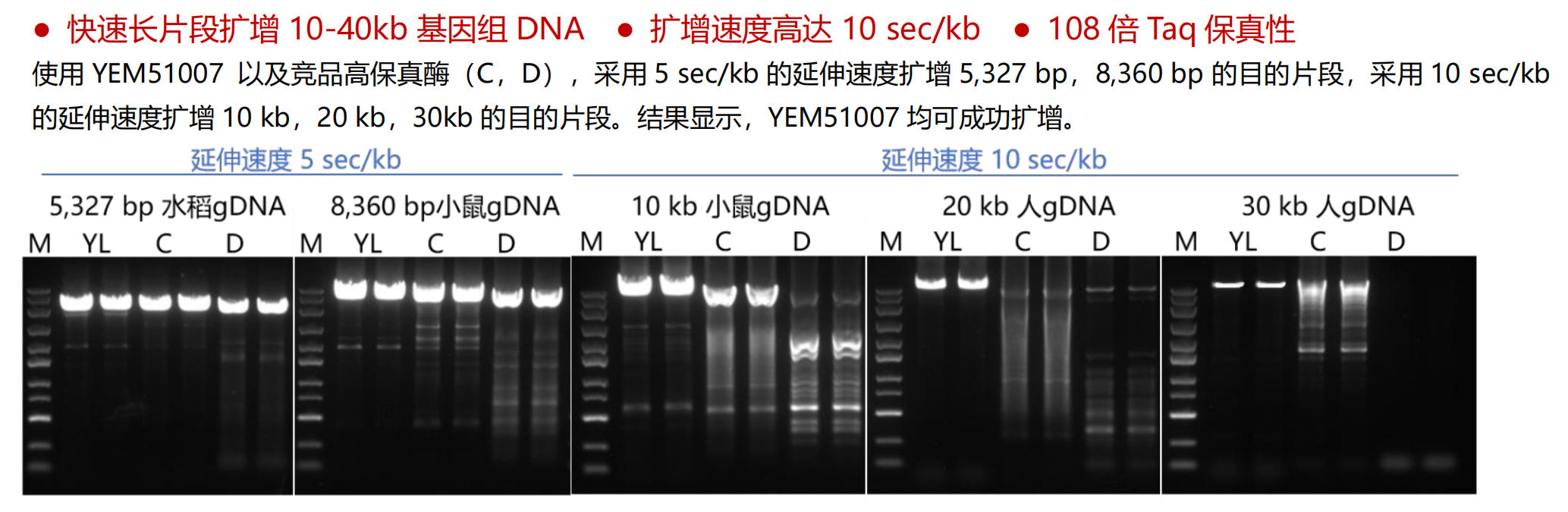 YEM51007实验案例