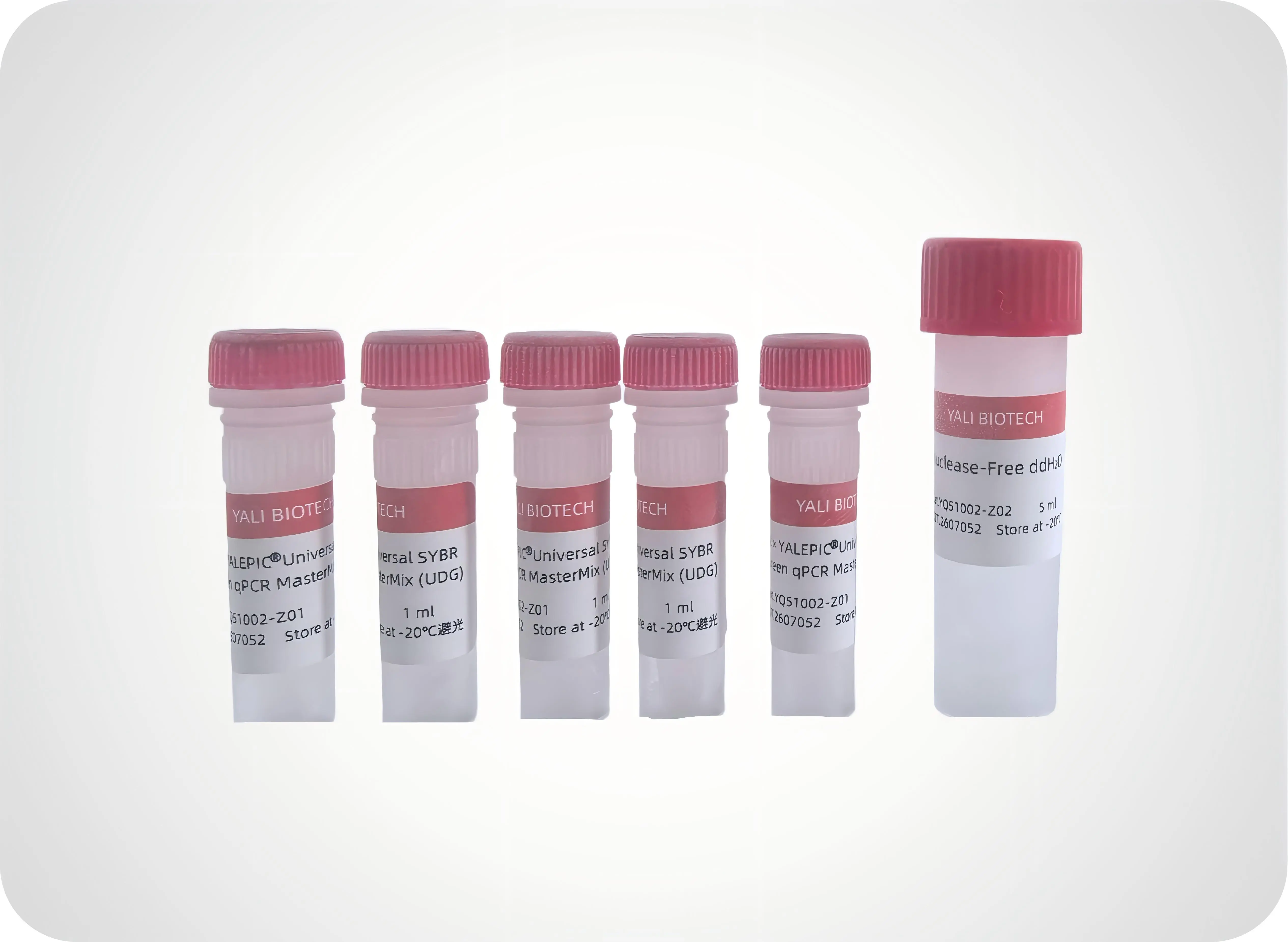 YQ51002 通用型UDG qPCR Mix