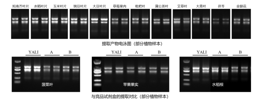 2026051908444436