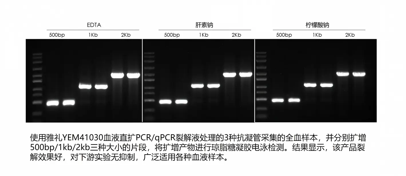 血液直扩裂解液-case-1