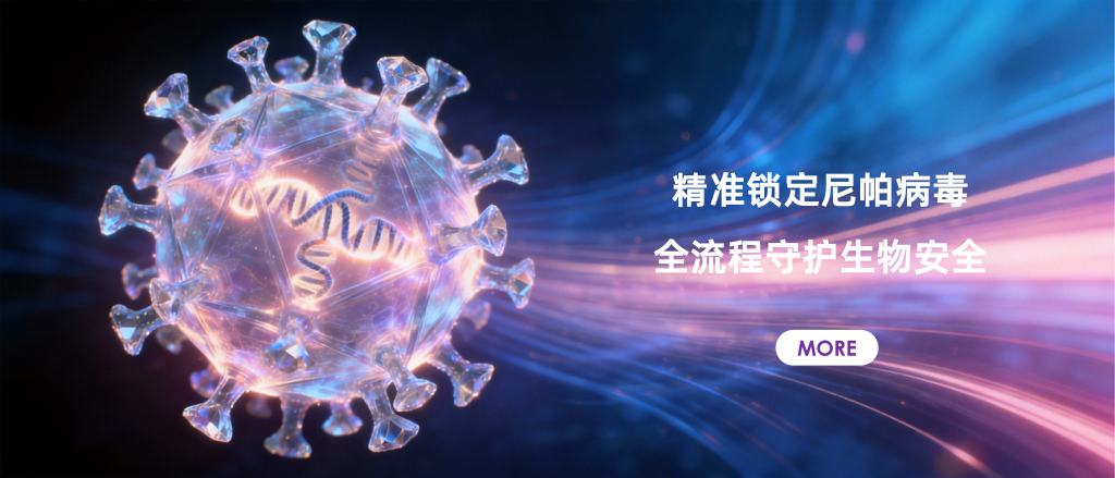 雅礼生物超快速尼帕病毒核酸qRT-PCR直扩方案