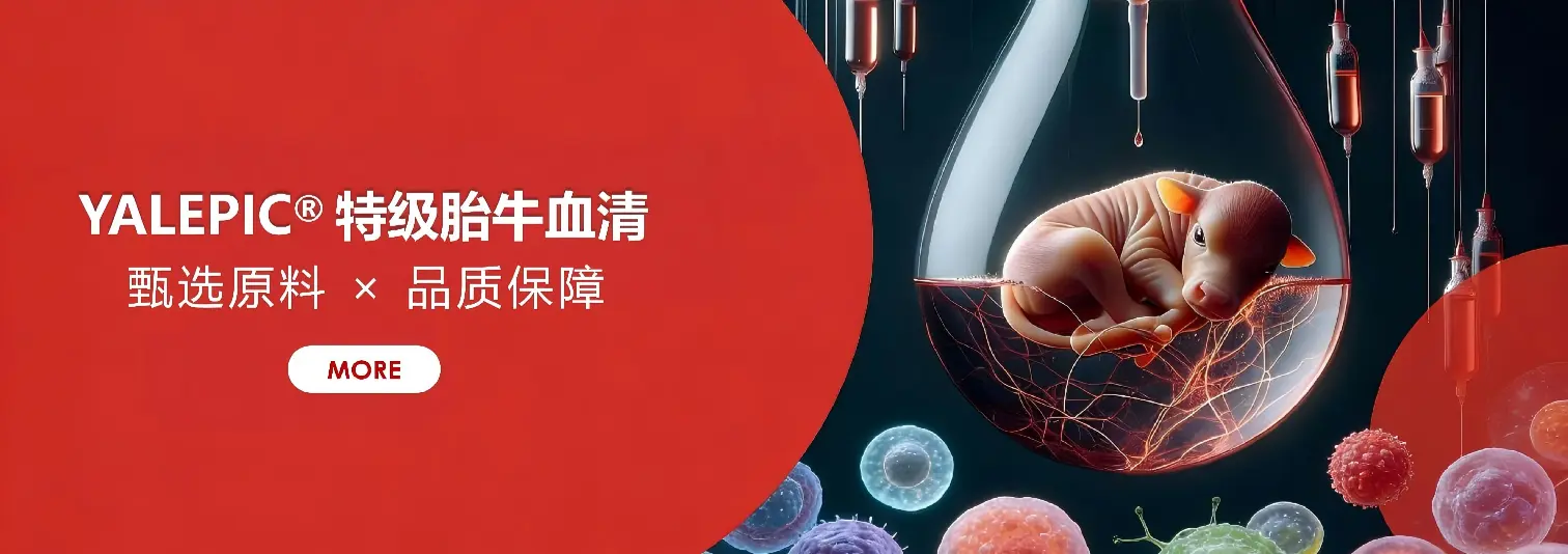 特级Ⅲ(1)